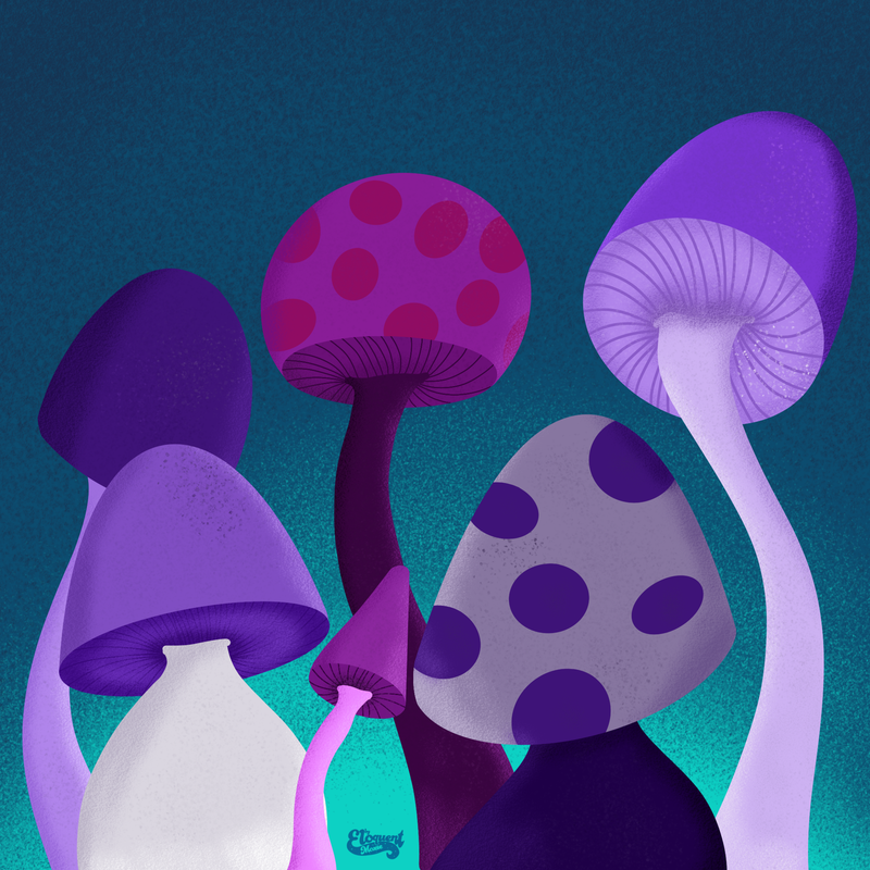 6 purple mushrooms, various sizes, light at the bottom